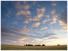 Cambourne in July 007  Later in the Evening Shot of the Fields