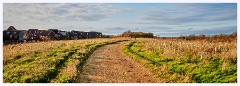 Cambourne 001  Walking the Perimeter alongside the A428