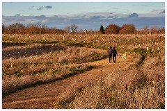 Cambourne 003  Walking the Perimeter alongside the A428