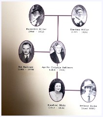 Agatha Christies Greenways 069  Family Tree
