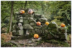 Dewerstone Woods 111  Halloween Pumpkins
