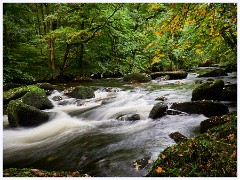 Fingle Bridge 018  River Teign