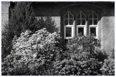 Hadenham 003  The Library