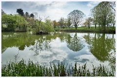 Childerley Gardens 001  The Lake