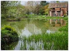 Childerley Gardens - May