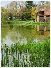 Childerley Gardens 004  The Lake