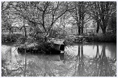 Childerley Gardens 006  The Lake