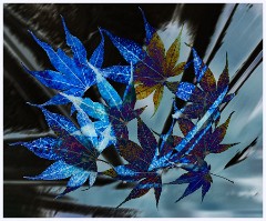 Creative Flowers and Ice 007  Now Changing the Colours