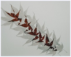 Creative Flowers and Ice 009  Acer Leaves on a Light Pad Multi Exposure