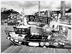 Devon Holiday 056  Fishing Harbour at Torquay