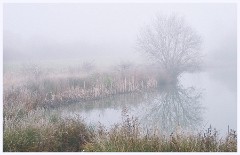 Foggy Cambourne  - Janurary