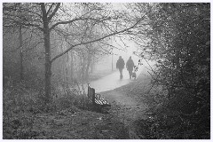 Cambourne 015  Monkfield Wood