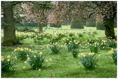 Madingley Hall 007
