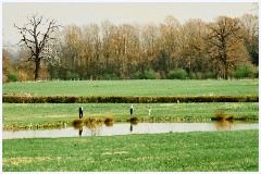 Madingley Hall 015