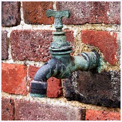 Madingley Hall August 010  Old Tap
