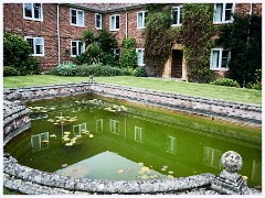 Madingley Hall August 012  Lily Pond