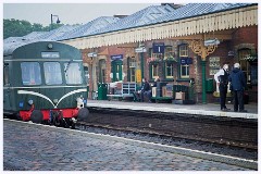 Sherringham and Thetford Forest