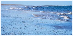 Titchwell Nature Reserve 011  The Beach