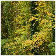 Anglesey Abbey