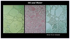 Creative Oil and Water 001