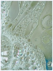 Creative Oil and Water 003
