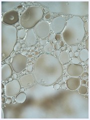 Creative Oil and Water 004