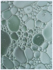 Creative Oil and Water 007
