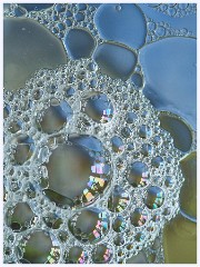 Creative Oil and Water 010