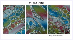 Oil, Water and Bubbles - March
