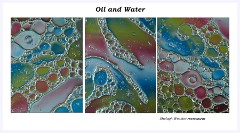 Creative Oil and Water 017