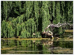 Heronry South Lake  Heronry South Lake