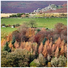 South Devon and Dartmoor - November