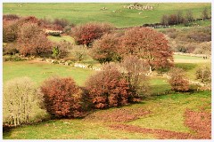 029 Dartmoor  Dartmoor