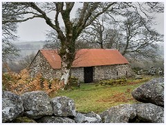 036 Dartmoor  Dartmoor - The Barn 1