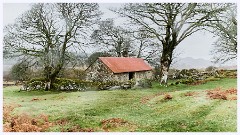 038 Dartmoor  Dartmoor - The Barn 3