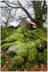 040 Dartmoor  Dartmoor - The Barn 5