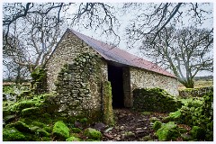041 Dartmoor  Dartmoor - The Barn 6