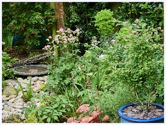 The Garden in May and June 004  New Bird Bath