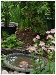 The Garden in May and June 005  New Bird Bath