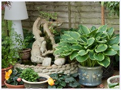 The Garden in May and June 026  Water Feature