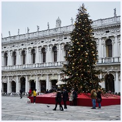 002 Venice St Mark's Square  Christmas Tree