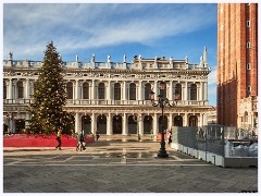 003 Venice St Mark's Square  Christmas Tree Outside Doge's Palace