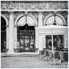 008 Venice St Mark's Square  Caffe Florian