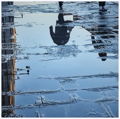 014 Venice  Reflections
