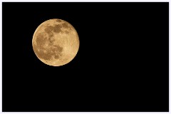 Cambourne 008  Snow Moon