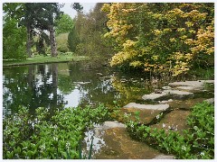 004 Cambridge Botanical Gardens