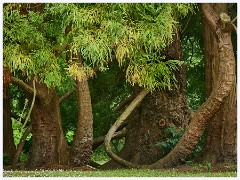 017  Little Bredy  Little Bredy Village in the Bride Valley