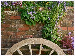 010 Cerne Abbas  The Village