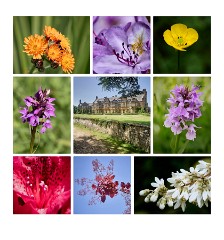 023 Cerne Abbas  Minterne Gardens