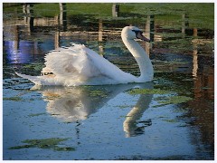 001 Higher Kingcombe  The Lodge